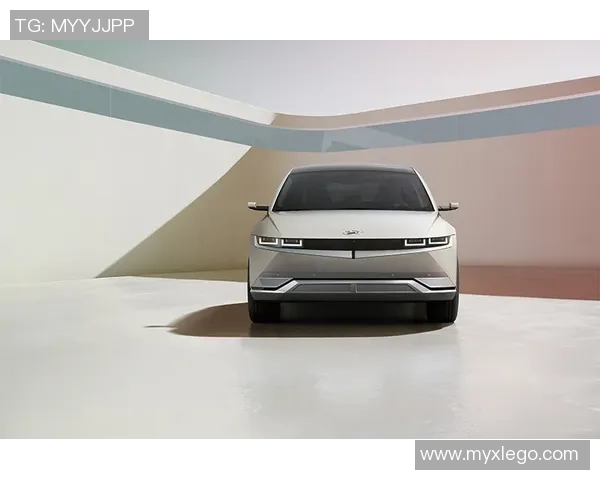 南京飞盘队的意识探讨与团队协作提升之道